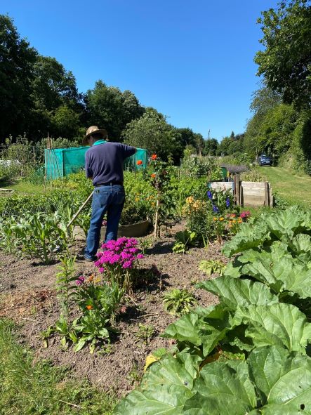Worker on Allotment
