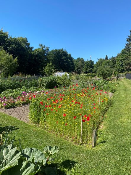 Allotments