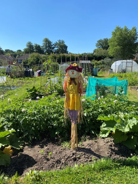 Allotments