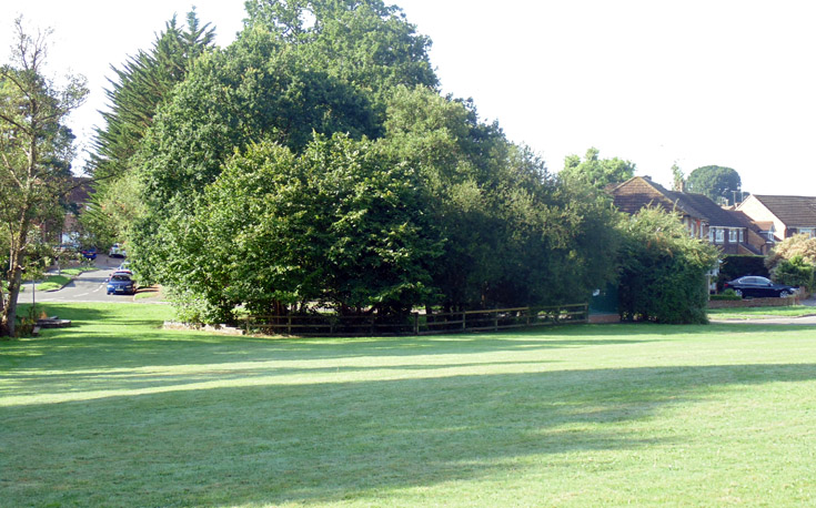 Copthorne Green